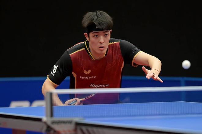 甲具备全面 甲具备全面